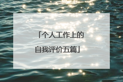 个人工作上的自我评价五篇