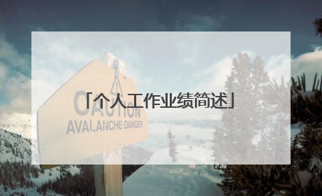 个人工作业绩简述