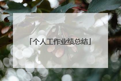 个人工作业绩总结