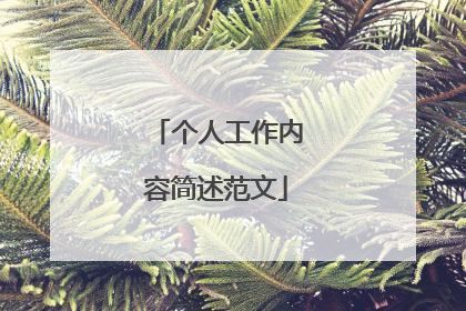 个人工作内容简述范文