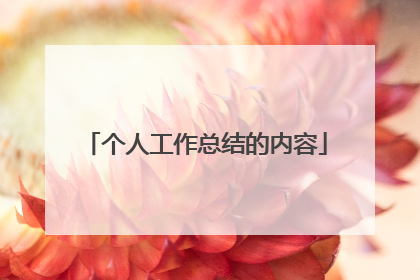 个人工作总结的内容