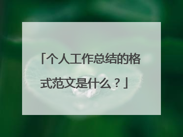 个人工作总结的格式范文是什么？