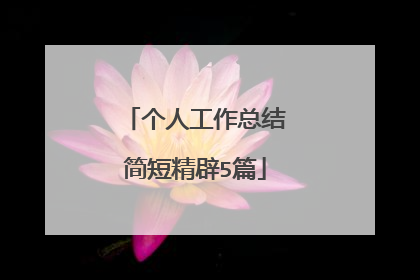个人工作总结简短精辟5篇