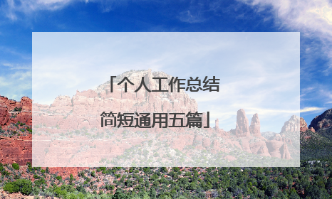 个人工作总结简短通用五篇
