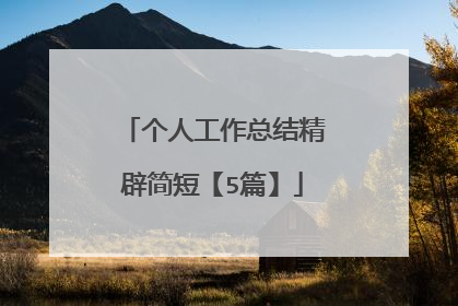 个人工作总结精辟简短【5篇】
