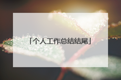 个人工作总结结尾