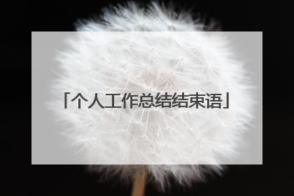 个人工作总结结束语