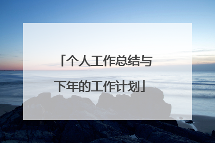 个人工作总结与下年的工作计划