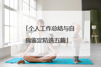 个人工作总结与自我鉴定精选五篇