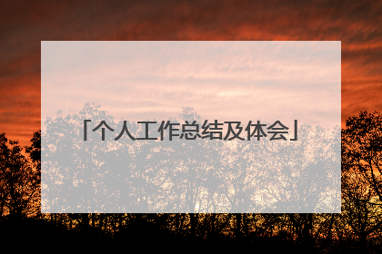 个人工作总结及体会