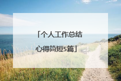 个人工作总结心得简短5篇