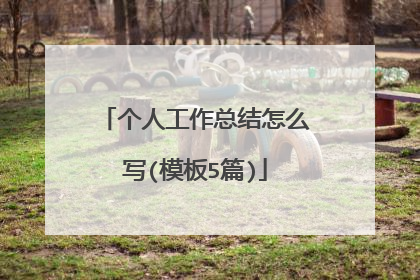 个人工作总结怎么写(模板5篇)