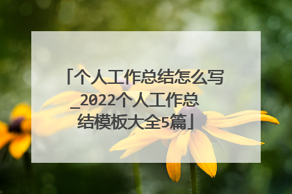 个人工作总结怎么写_2022个人工作总结模板大全5篇