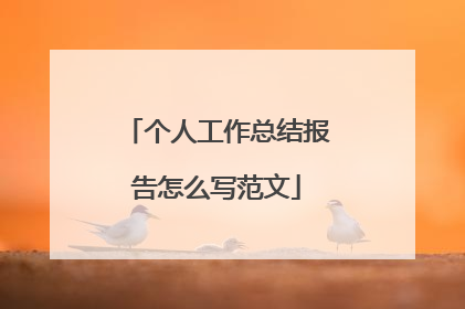 个人工作总结报告怎么写范文