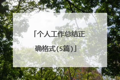 个人工作总结正确格式(5篇)