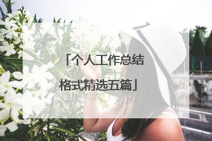 个人工作总结格式精选五篇