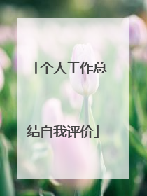 个人工作总结自我评价