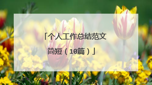 个人工作总结范文简短(10篇)