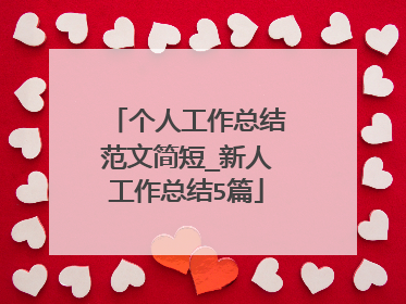 个人工作总结范文简短_新人工作总结5篇