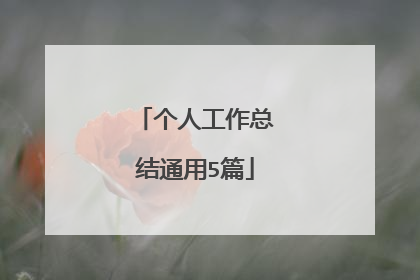 个人工作总结通用5篇