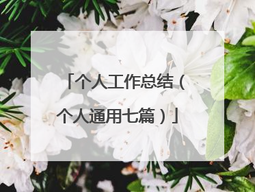 个人工作总结(个人通用七篇)
