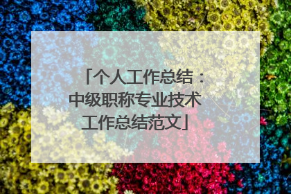 个人工作总结：中级职称专业技术工作总结范文