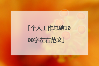 个人工作总结1000字左右范文
