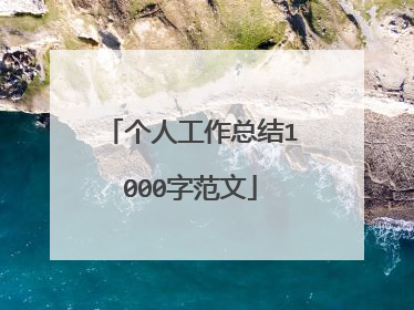 个人工作总结1000字范文