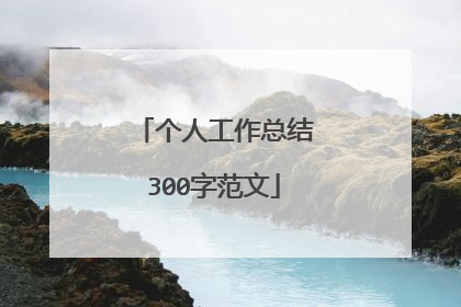 个人工作总结300字范文