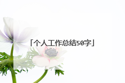 个人工作总结50字