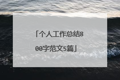 个人工作总结800字范文5篇