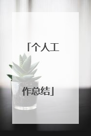 个人工作总结