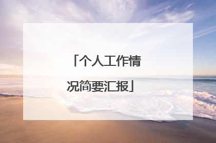 个人工作情况简要汇报