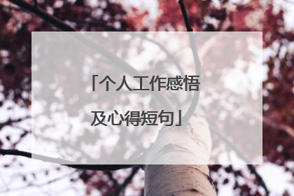 个人工作感悟及心得短句