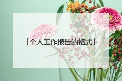 个人工作报告的格式