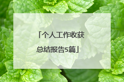 个人工作收获总结报告5篇