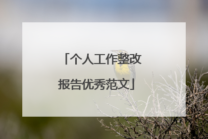 个人工作整改报告优秀范文