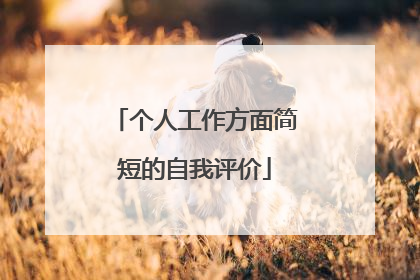 个人工作方面简短的自我评价