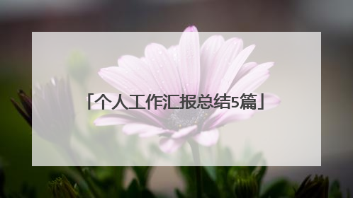 个人工作汇报总结5篇