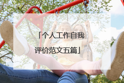 个人工作自我评价范文五篇