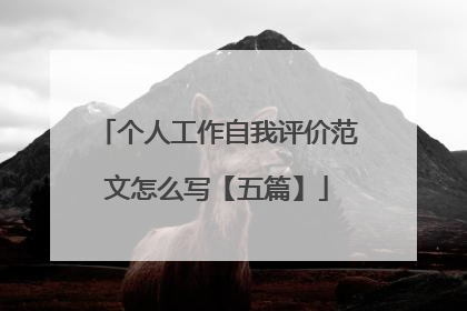 个人工作自我评价范文怎么写【五篇】