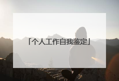 个人工作自我鉴定
