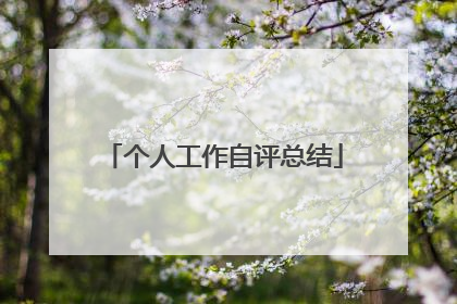 个人工作自评总结