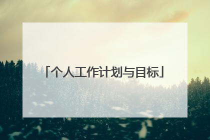个人工作计划与目标