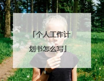 个人工作计划书怎么写