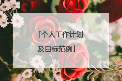 个人工作计划及目标范例
