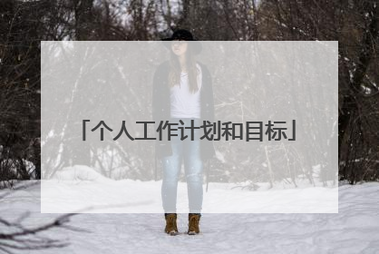个人工作计划和目标