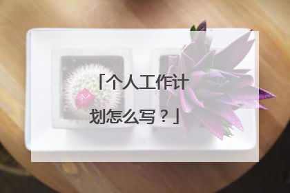 个人工作计划怎么写？