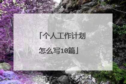 个人工作计划怎么写10篇