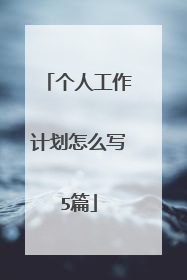 个人工作计划怎么写5篇